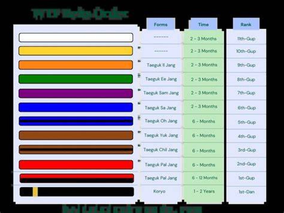 12 Taekwondo Belt Order to Master Your Craft