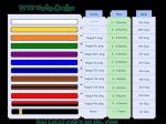 12 Taekwondo Belt Order to Master Your Craft