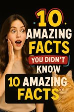 5 Amazing Facts You Didnt Know About Gena Okelley Chuck Norris Wife
