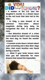 7 Facts About Her |