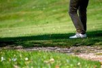 A Golfing Prodigy's Journey to the Top