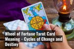 A Journey of Magic and Fortune