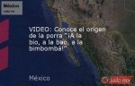 A La Bio a La Bao: an Exploration of a Cultural Phenomenon