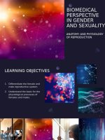 A Unique Perspective on Gender and Reproduction