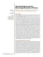Age, Experience, and Musical Evolution