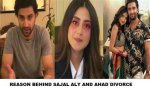 Ahad & Sajal Divorce: the Shocking Truth & What Happened?