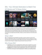 All Movies Hub Hd: Your Ultimate Destination for Quality Film Streaming