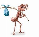 Ant with Stick and Bag: the Fascinating World of Ant Behavior