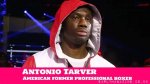 Antonio Tarver Net Worth | Snogblogy