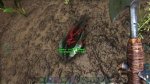 Ark: How to Get Leech Blood