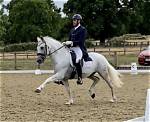 Aubrigh Wyatt: an Inspiring Equestrian for All