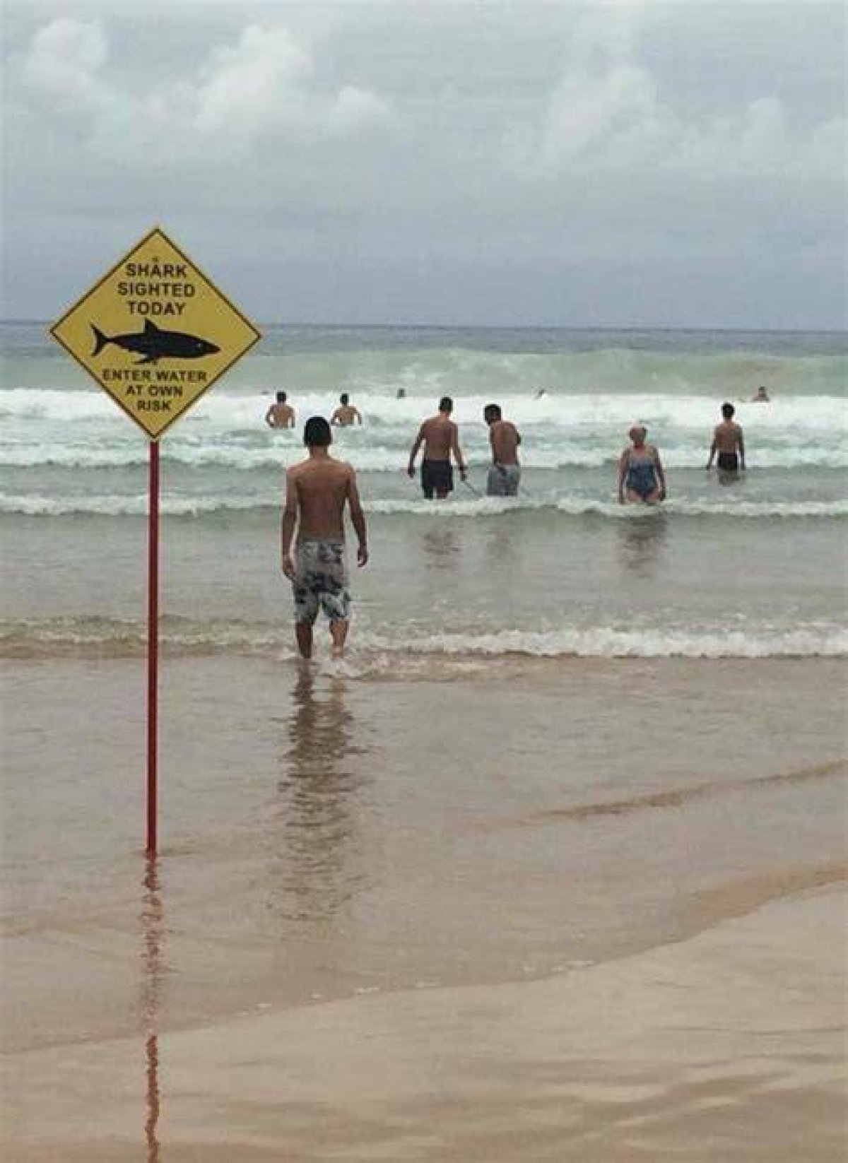 Beach Blunders: Oops at the Shoreline