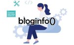 Bloginfo - Bloginfo