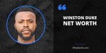 Blogpaper | Winston Duke | Bio, Age, Net Worth, Relationship, Career