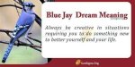 Blue Jay in Dream Meaning, Interpretation and Symbolism ·