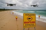 Brace for Impact: Shark Attacks Surge in Hilton Head 2024