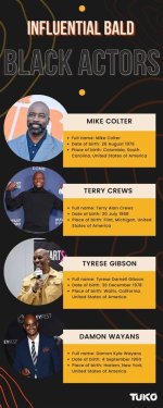 Celebrating the Charisma of Bald Black Men Celebrities
