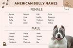 Check out the Most Popular Bully Names for Aubaleigh Wyatt