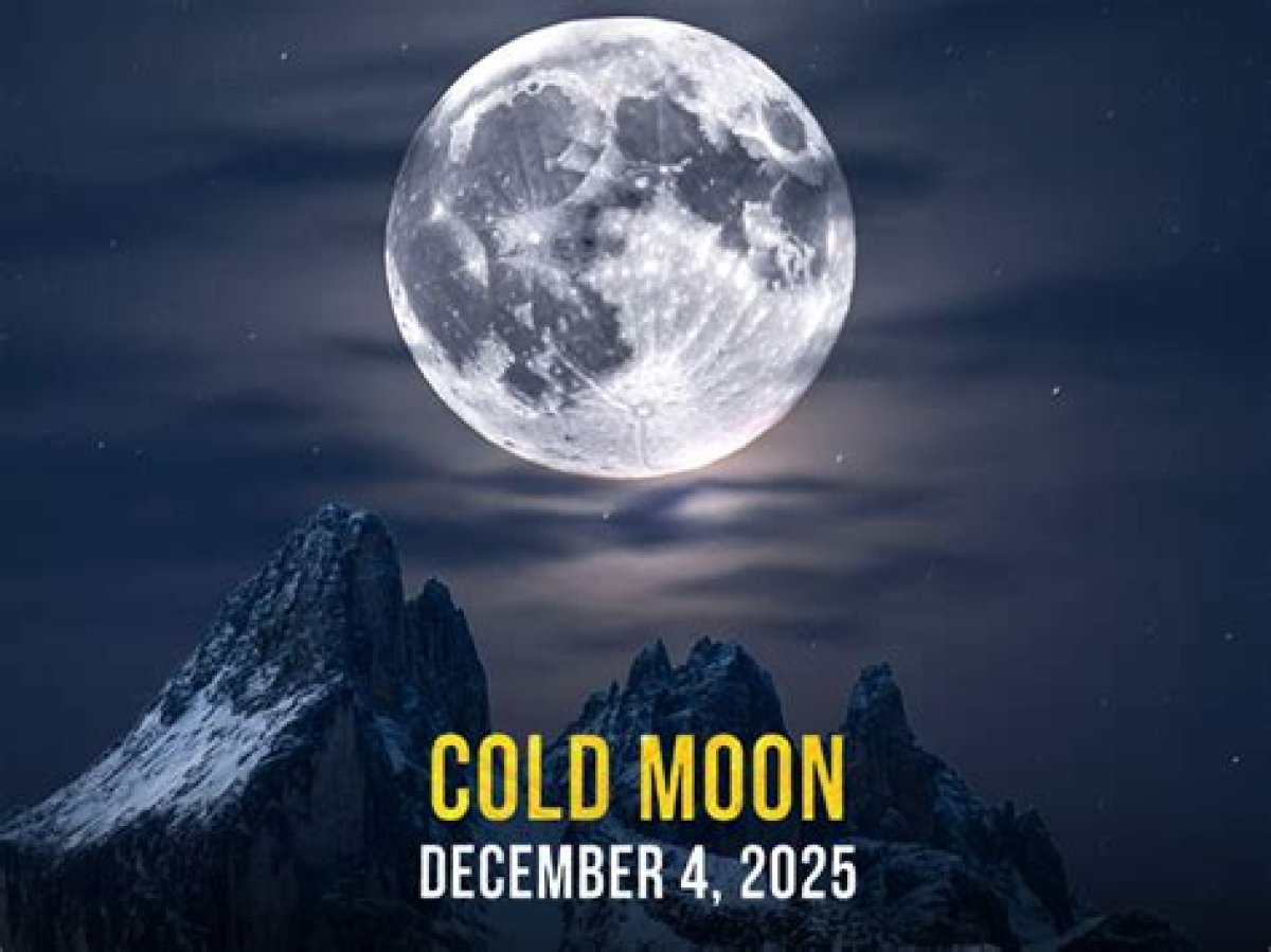 Cold Moon: What to Know About December 2022'S Full Moon