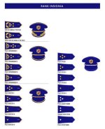 Comprehensive List of Police Ranks and Symbols