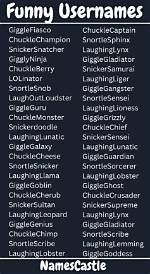 Creative and Hilarious Usernames for Every Occasion