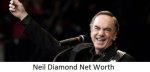 Diamond Net Worth How Much Is Diamond Worth?