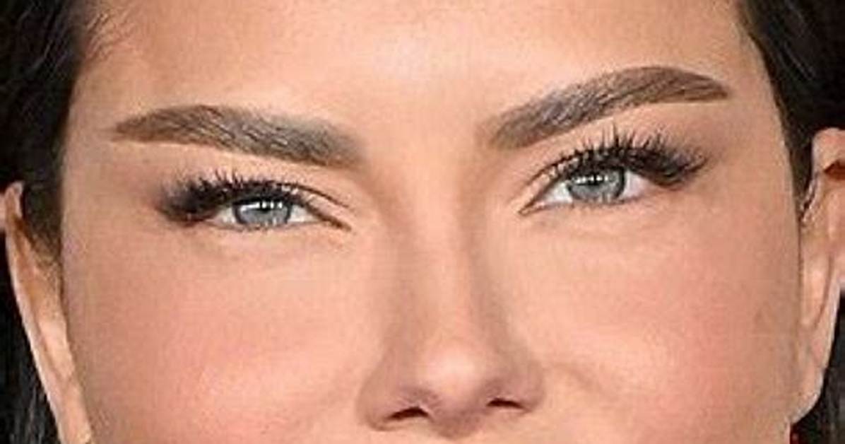 Discover the Family Lineage: Meet Adriana Lima's Brother