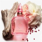 Discover Unforgettable Aromas: Perfume Love That Lasts Forever