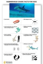 Discoveries and Insights for the Legally Curious