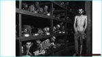 Discoveries and Insights into a Creative Union