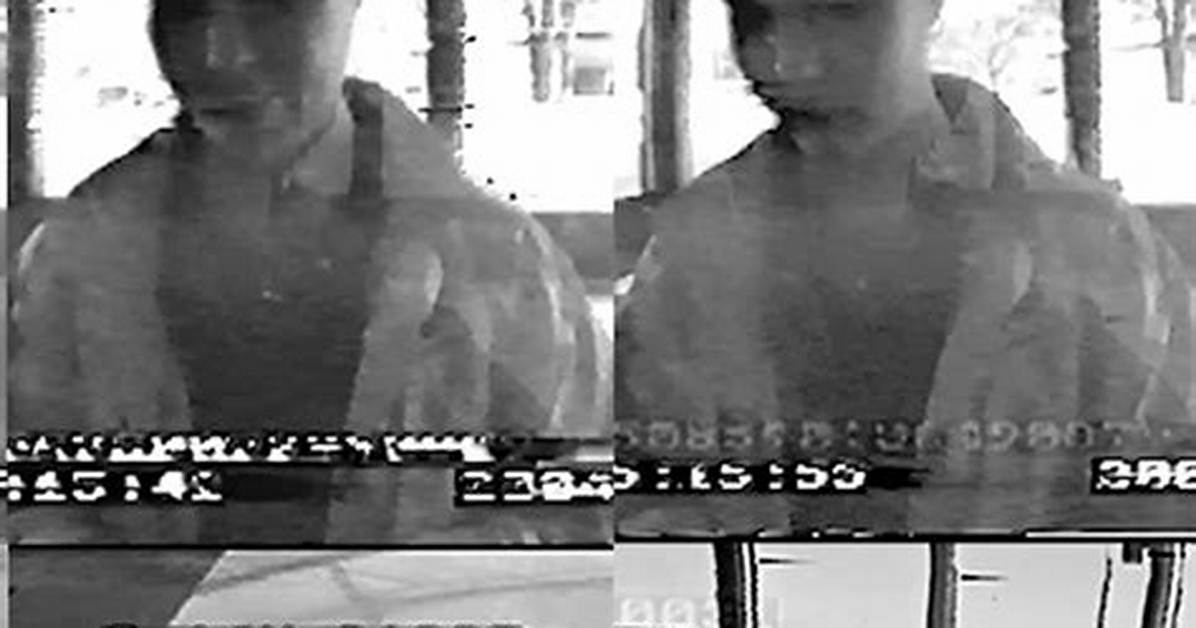 Discoveries from 2004 Cctv Footage