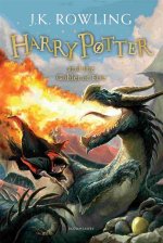 Discovering Harry's Age in Goblet of Fire