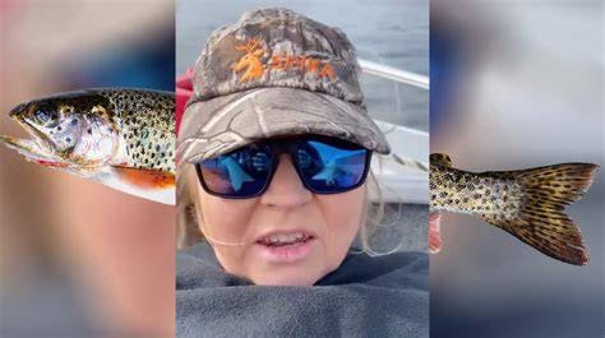 Discovering the Enigma of the Trout Lady Video