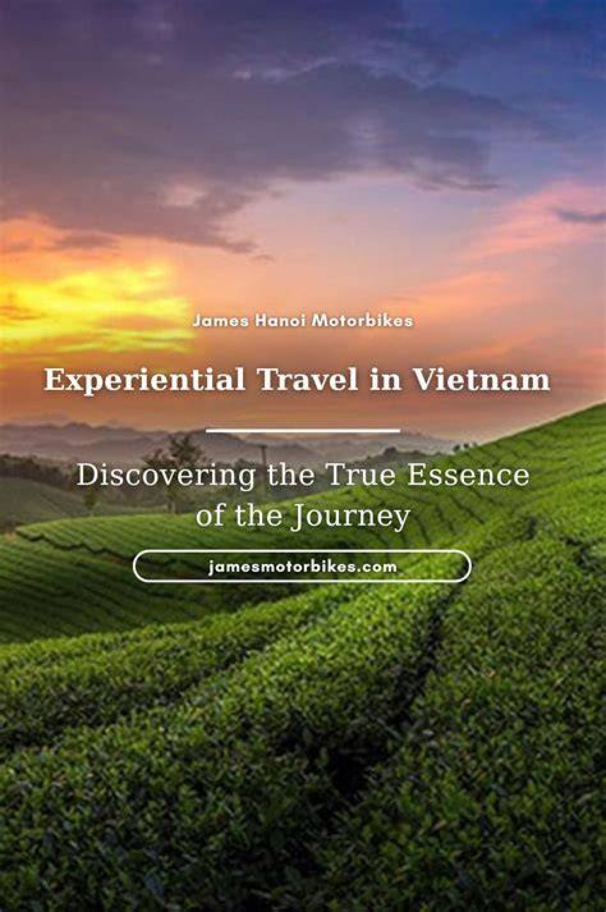 Discovering the Essence of Ineedbella: a Journey into Passion and Creativity