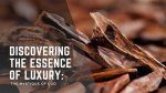 Discovering the Essence of Στιβ Ντάμστρα