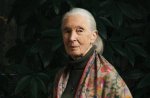 Discovering the Life and Legacy of Gentle Hayes