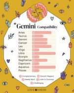 Discovering the Most Compatible Signs with Gemini