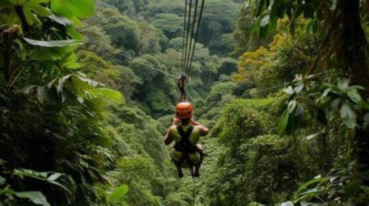 Discovering the Thrilling World of Ziplining