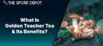 Discovering the Wonders of Golden Teacher Tea