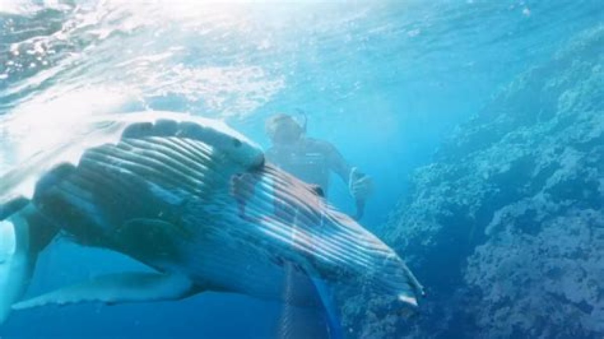 Dive into the Extraordinary World of Matteo Arnaldi: Unlocking Potential and Inspiring