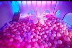 Dive into the Quirky Bubble House of Patrick Star: an Underwater Adventure