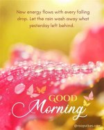 Embracing the Raindrops: Good Morning Wishes for the Rainy Season