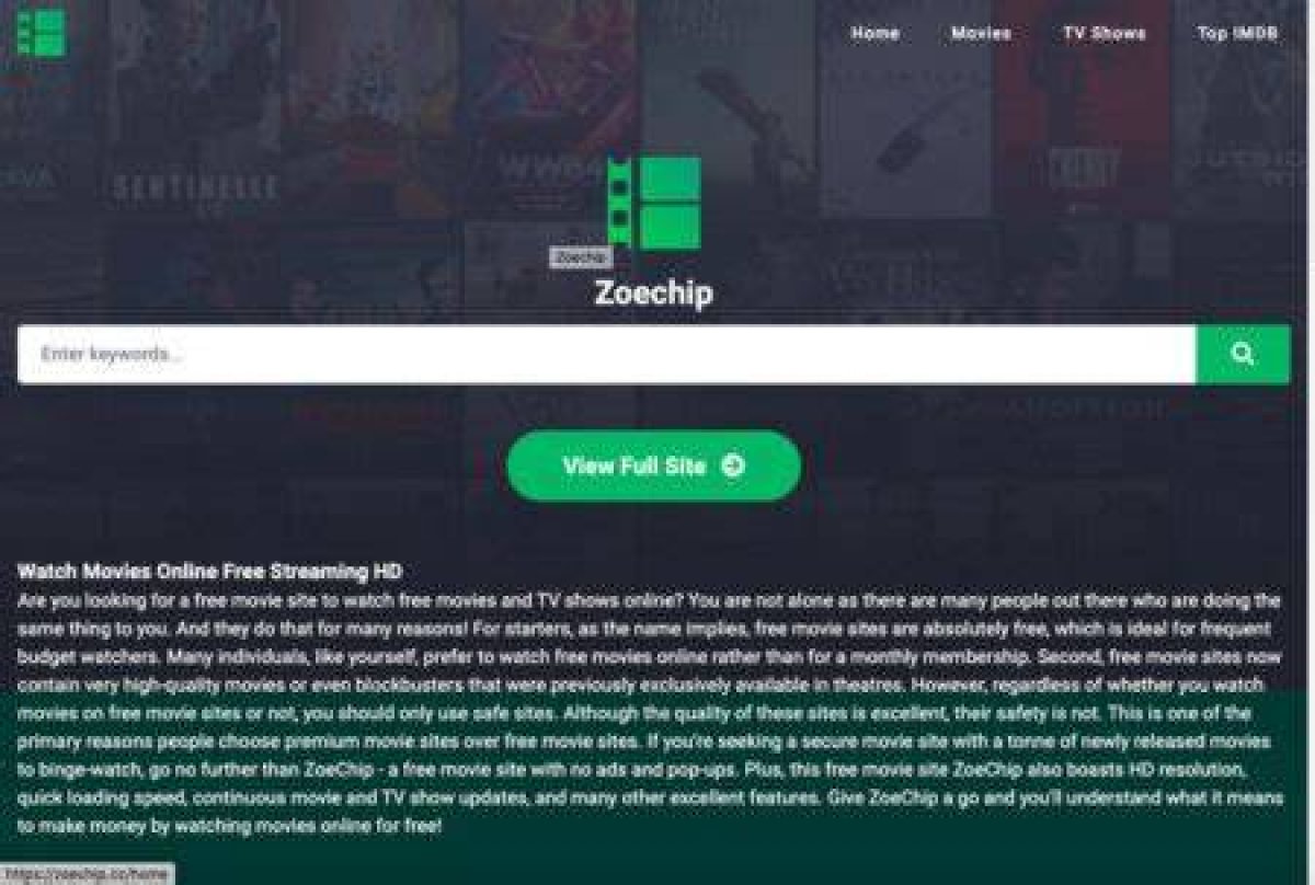 Enjoyable Zoe Chip Movies: a Cinematic Exploration