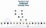 Exploring America's Most Inbred Family Tree: the Shocking Truth