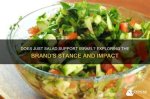 Exploring the Allegiance: Does Essence Support Israel?