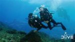 Exploring the Depths with Chelsea Marie Dive Boat
