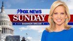 Exploring the Journey of Shannon Fox News: a Dynamic Media Presence