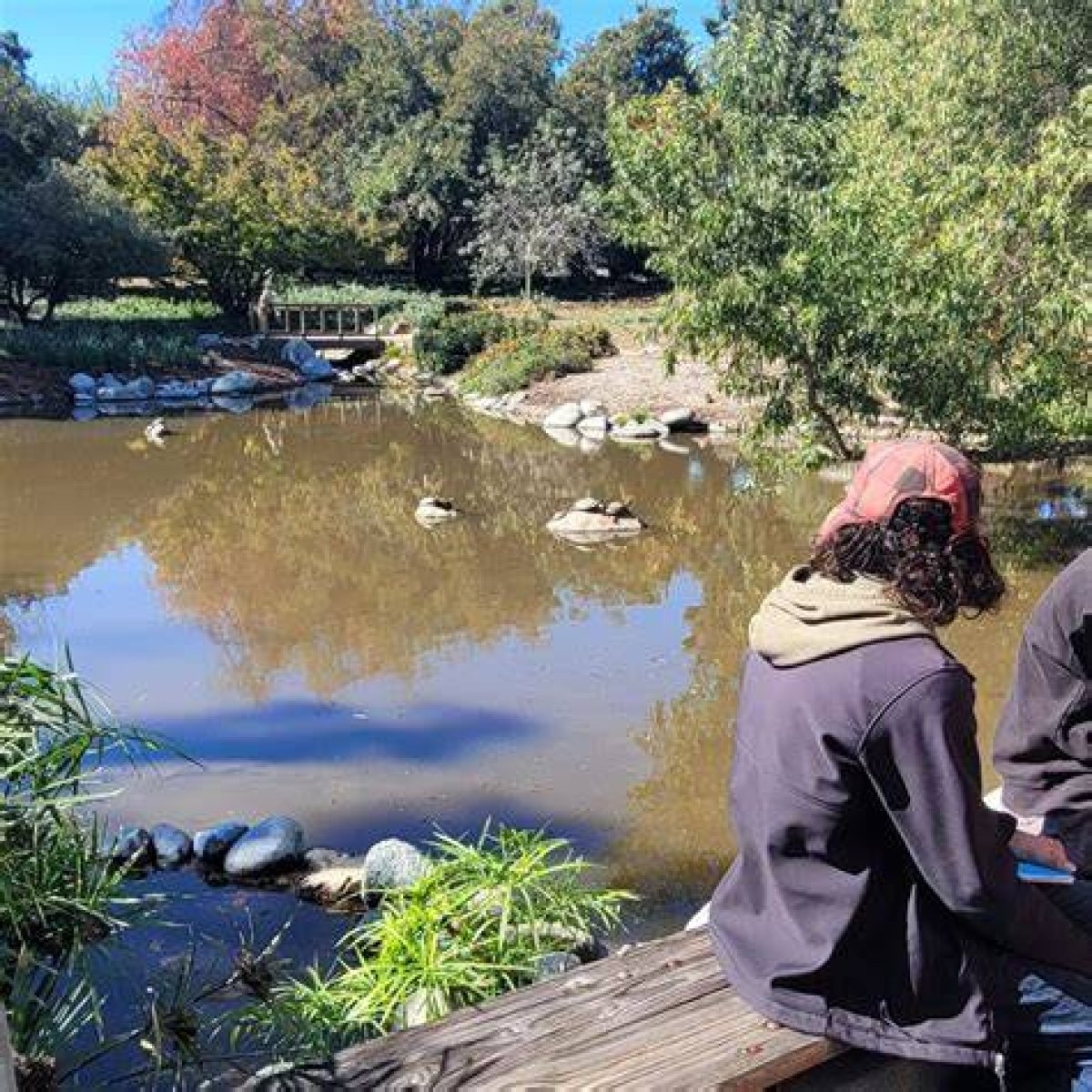Exploring the Los Angeles Arboretum and Botanic Garden: a Hidden Gem of Nature