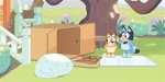 Exploring the Magic of Bluey Episodes: a Comprehensive Guide
