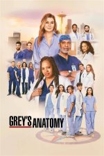 Exploring the Seasons of Grey's Anatomy: a Comprehensive Guide